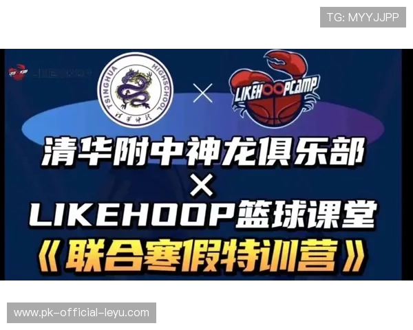 2026年篮球联赛青训导师远程教学试点扩大，青少年篮球教练培训